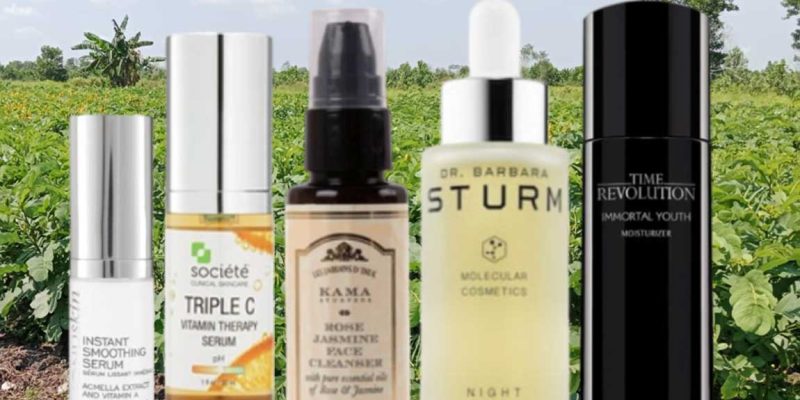 Scientific Potential of Senna alata Leaf Extract for the Cosmetics Industry